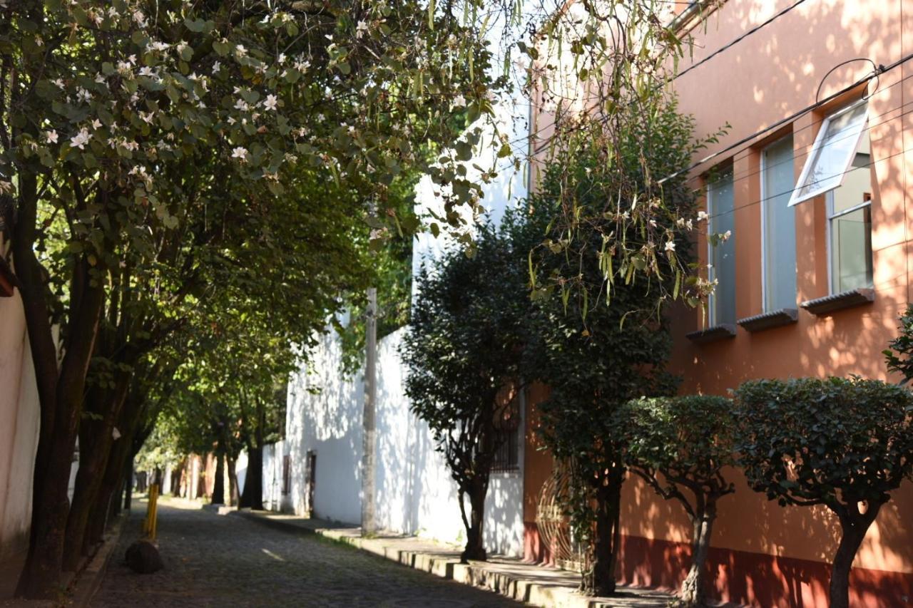 Casa Lulu Coyoacan Alvaro Obregon Екстериор снимка