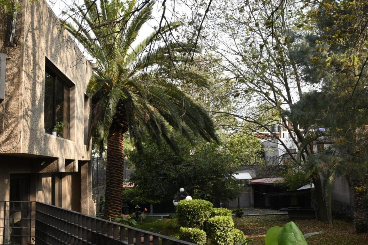 Casa Lulu Coyoacan Alvaro Obregon Екстериор снимка