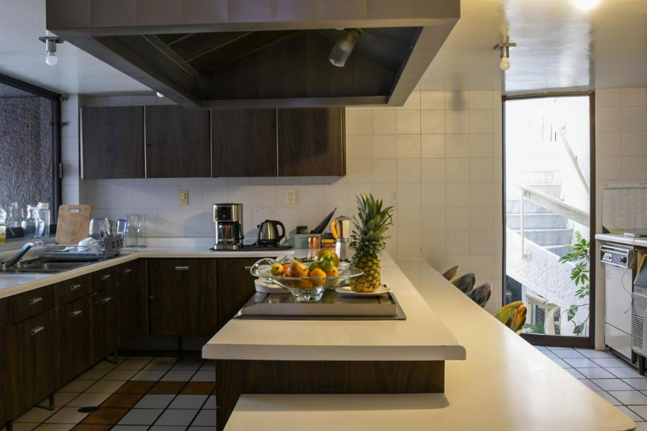 Casa Lulu Coyoacan Alvaro Obregon Екстериор снимка