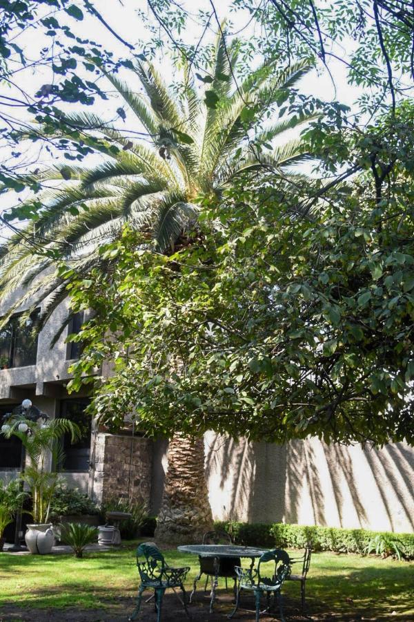 Casa Lulu Coyoacan Alvaro Obregon Екстериор снимка