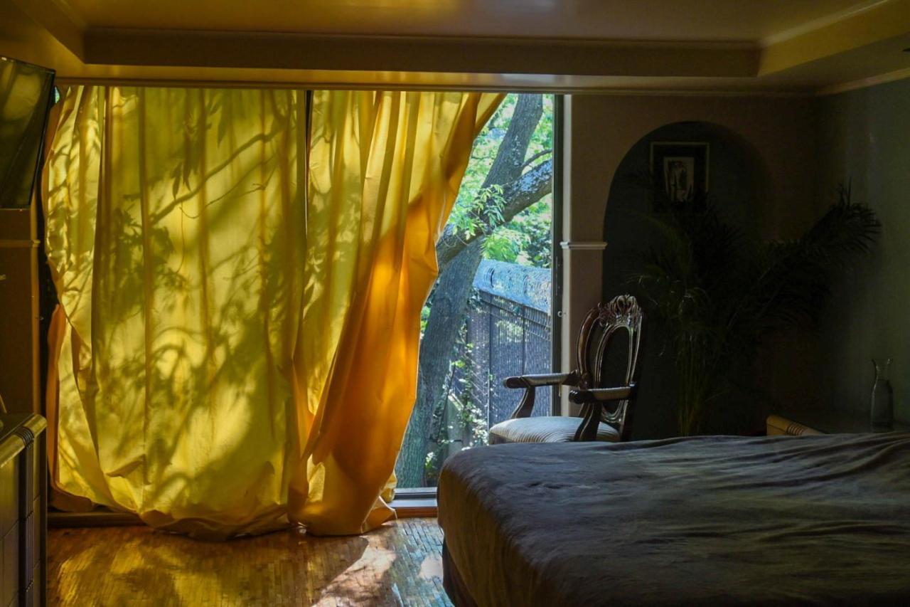 Casa Lulu Coyoacan Alvaro Obregon Екстериор снимка